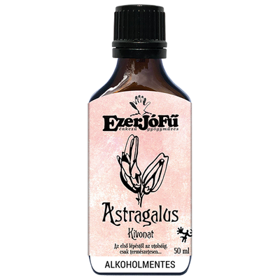 Astragalus_membranaceus_glicerines_oldat_kivonat