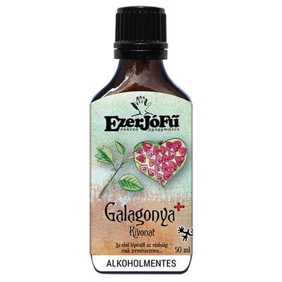 Galagonya_bogyo_Medvehagyma_Feher_fagyongy_agveg_Galagonya_viragos_hajtasveg_Rozmaring