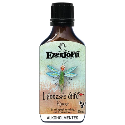 Landzsas_utifu_Bodza_edeskomeny_anizs_Vadkakukkfu_Echinacea_edesgyoker