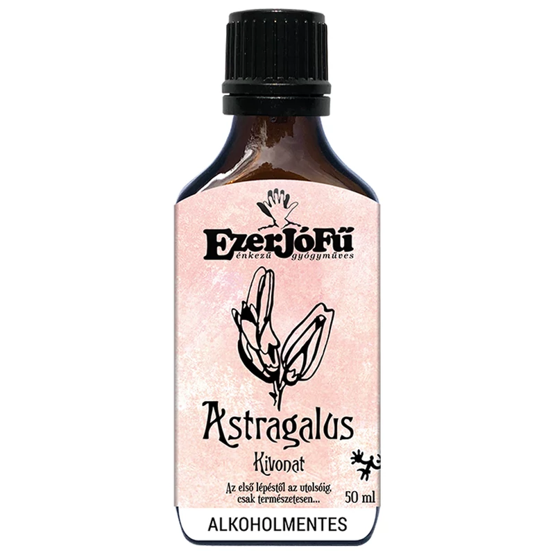 Astragalus_membranaceus_glicerines_oldat_kivonat