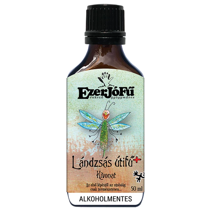 Landzsas_utifu_Bodza_edeskomeny_anizs_Vadkakukkfu_Echinacea_edesgyoker